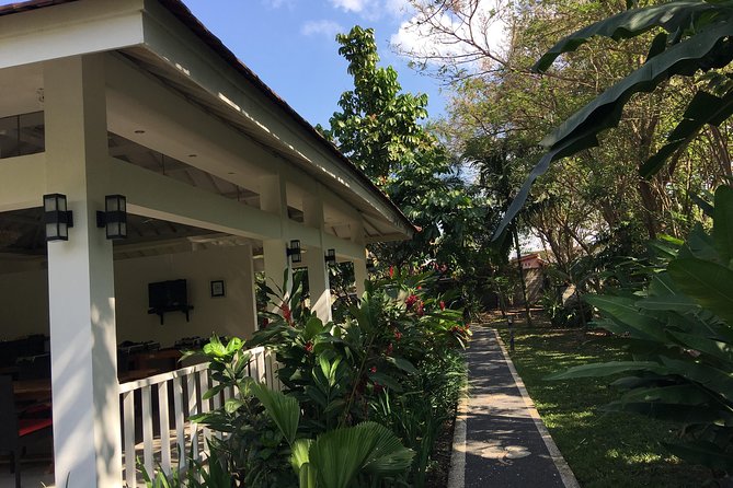 Anggrek Putih Lombok Cooking Class - Vegetarian options and allergies: what you should plan for