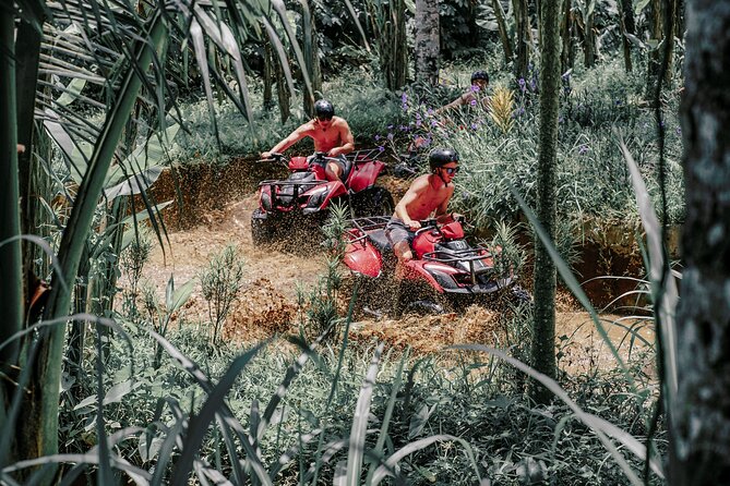 ATV Quad Bike Bali with Waterfall Gorilla Cave and Lunch - Who Should Book This ATV Tour (And Who Might Skip It)