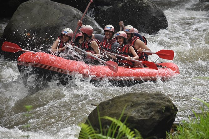 Ayung Rafting Ubud (Include Lunch & Return Transportation) - Key things I’d zero in on before you go