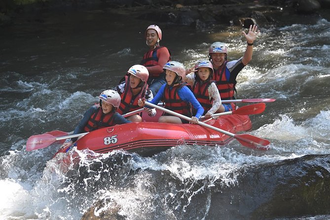 Ayung Rafting Ubud (Include Lunch & Return Transportation) - Ayung River rafting near Ubud, what Grade II-III really means