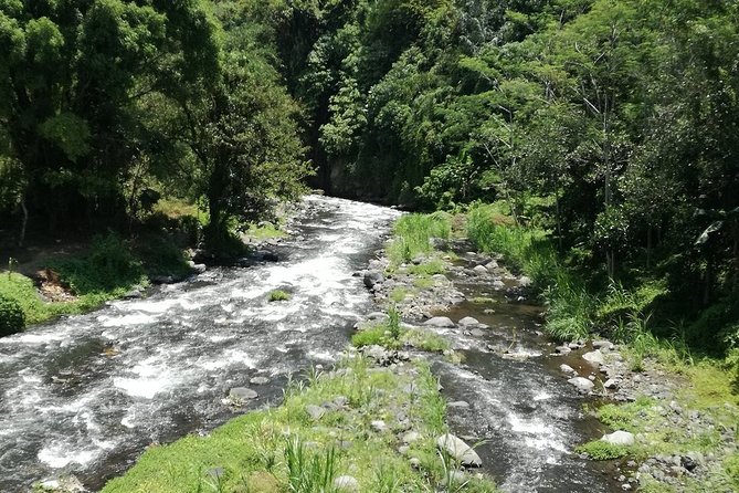Ayung Rafting Ubud (Include Lunch & Return Transportation) - Price and value check, what $75 includes and what can add up