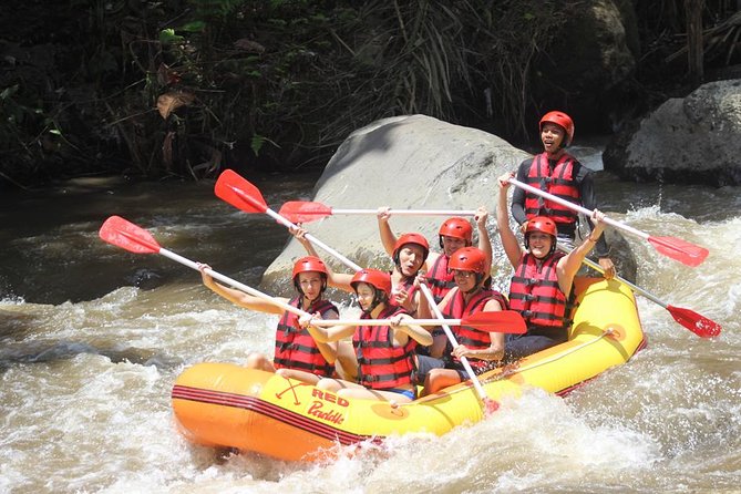 Ayung River - White Water Rafting Bali - Key Highlights You Will Care About