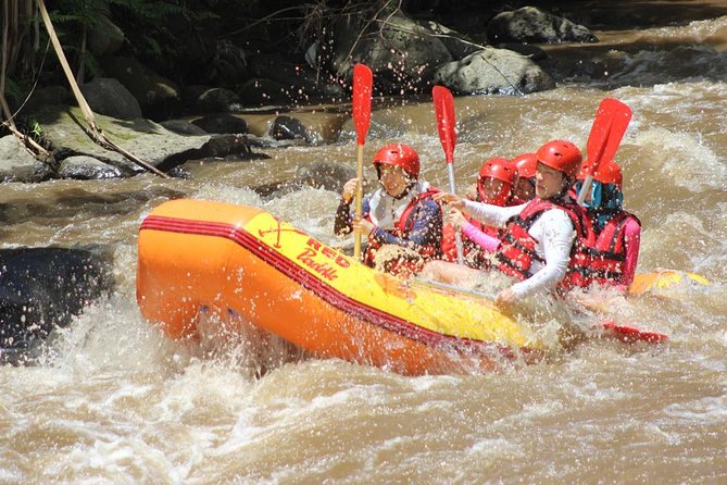 Ayung River - White Water Rafting Bali - Best For Who: Families, Couples, and Active Day-Trippers