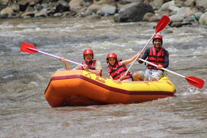 Ayung River - White Water Rafting Bali - On the Raft: Grade II-III Rapids With Real Scenery Time