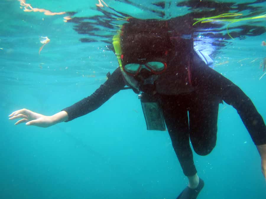 Bali: 1 Hour Snorkeling at Nusa Dua Beach - Key Things I’d Focus On Before You Book