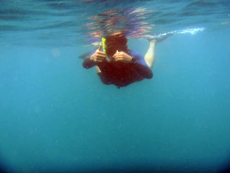 Bali: 1 Hour Snorkeling at Nusa Dua Beach - Why Nusa Dua and a 1-hour slot work for many people