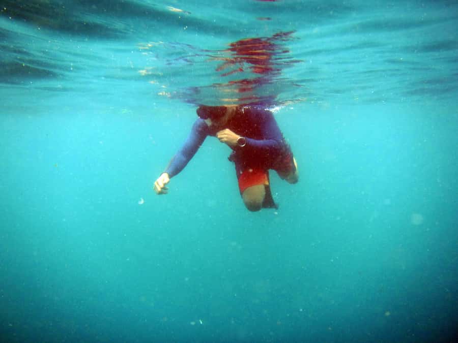 Bali: 1 Hour Snorkeling at Nusa Dua Beach - Safety briefing and gear setup: what you should expect before you touch water