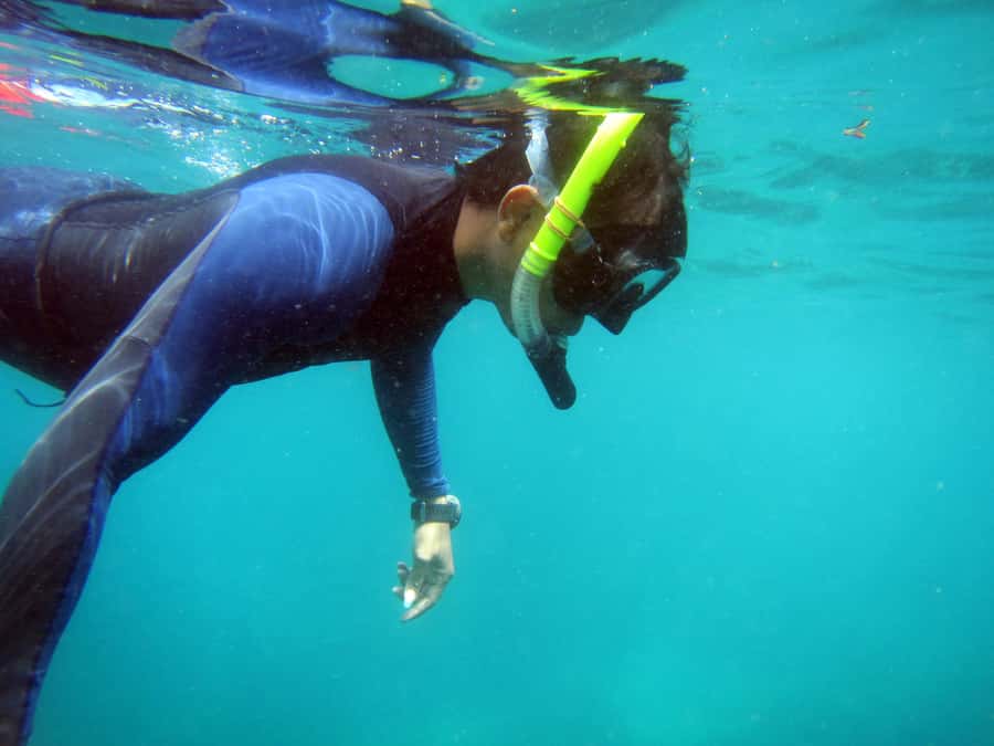 Bali: 1 Hour Snorkeling at Nusa Dua Beach - Your 1 hour in the water: coral areas, fish spotting, and the wind problem