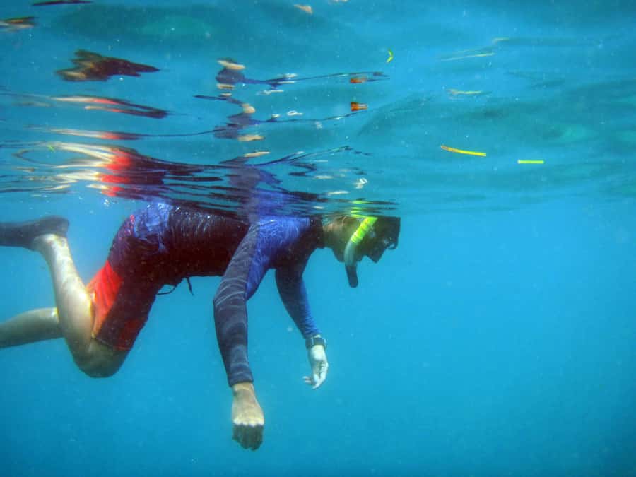 Bali: 1 Hour Snorkeling at Nusa Dua Beach - Who this snorkeling tour fits best, and who should skip it