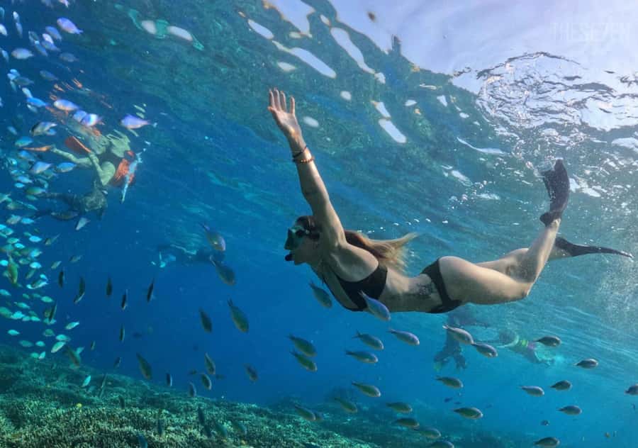 Bali: 3-Day Private Gili Islands Snorkel Tour with Hotel - Day 2: A Private 2.5-Hour Snorkeling Tour and the Island-to-Island Move