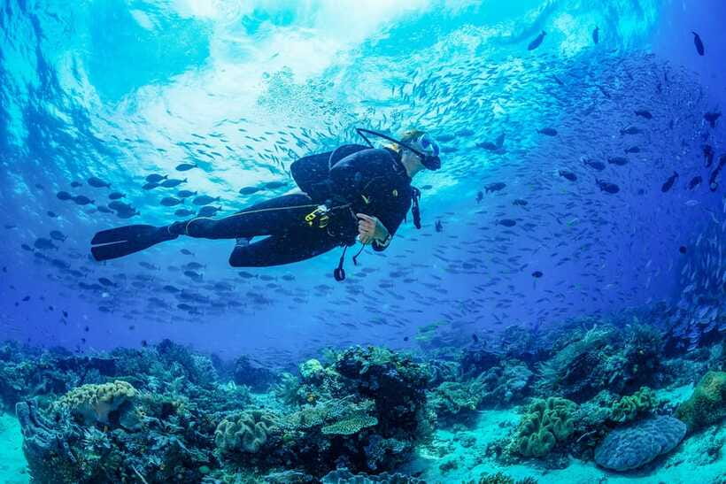 Bali: 3-Days PADI Open Water Diving Course - Key things I’d circle before you book