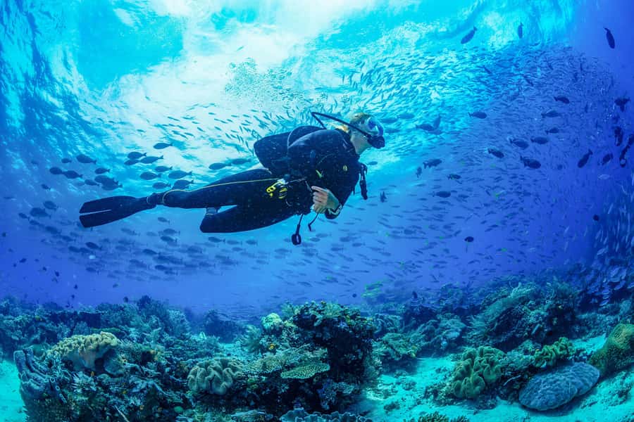 Bali: 3-Days PADI Open Water Diving Course - Day 2 in Padang Bai: Blue Lagoon boat ride and your first open-water sessions