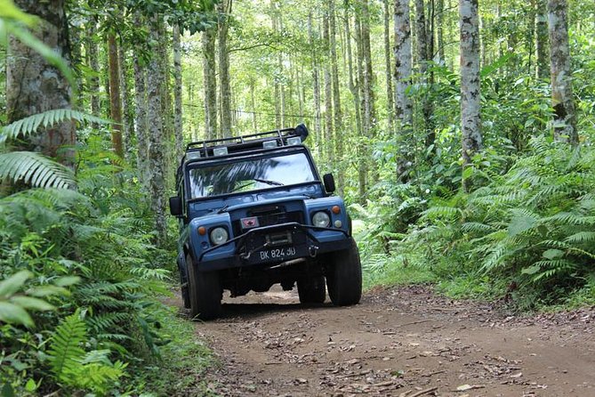 Bali 4WD Adventure - Jatiluwih Rice Terraces walk: 2 km, real steps, and a good guide makes it better