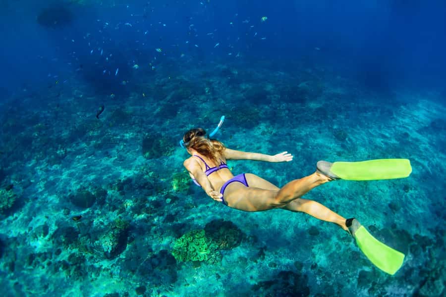 Bali: All-Inclusive Combo Adventure Ticket with Transfer - Ayung white water rafting and lunch: scenery with effort