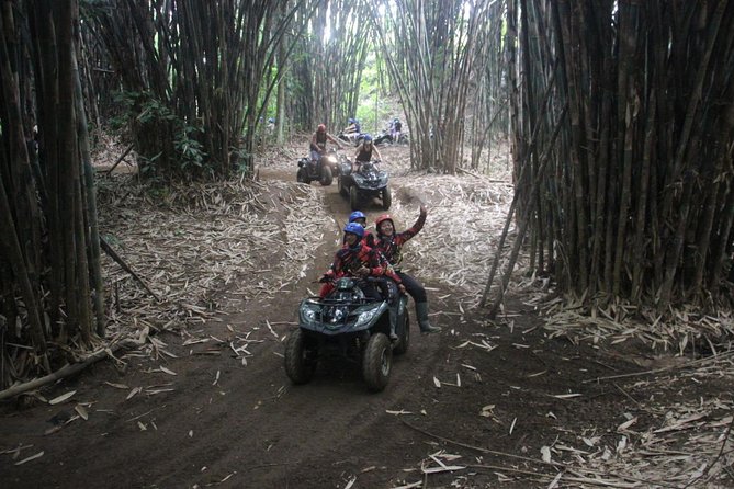 Bali All Inclusive : Tlaga Singha Infinity Pool & Atv Adventure - Stop 2 at Balaji Adventure Bali: Rice Views, More Off-Road Time, and Lunch Built Into the Flow