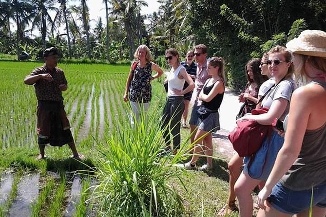 Bali Amazing Cooking Class - Price and value: why $34 can be a good deal in Ubud