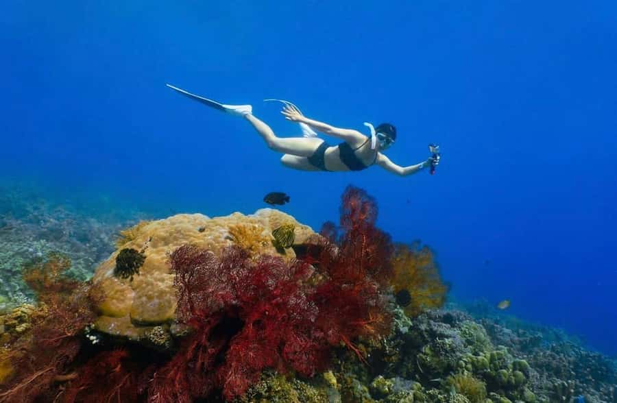 Bali/Amed: Underwater Temple Snorkeling Experience - Adding Tirta Gangga and Virgin Beach to Make It a Full Amed Day