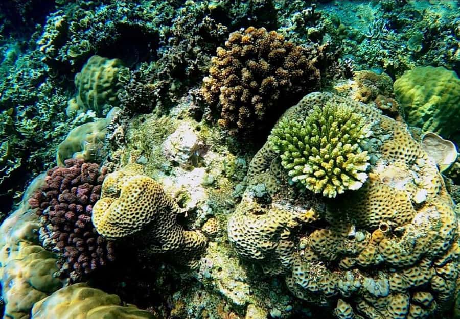 Bali/Amed: Underwater Temple Snorkeling Experience - Boat Time, Gear, and the Calm-Sea Reality Check