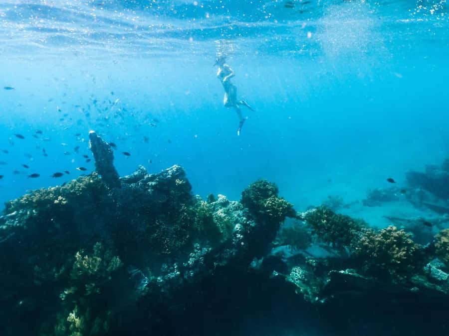 Bali/Amed: Underwater Temple Snorkeling Experience - Price and Value: Is Around $40 a Good Deal?
