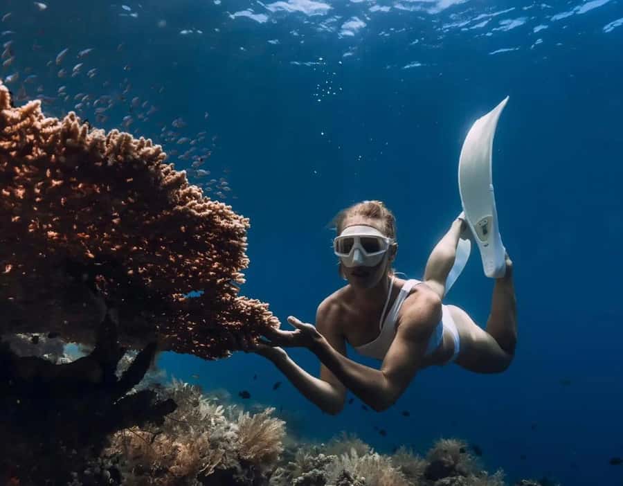 Bali/Amed: Underwater Temple Snorkeling Experience - The Underwater Temple Area: How to See It Without Harming It