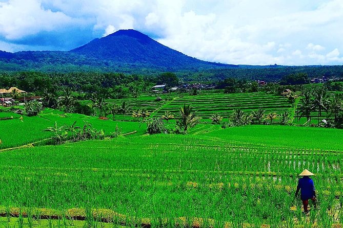 Bali Ancient Temples Tour - A Smart Full-Day Combo of Temples and Rice Terraces from Ubud