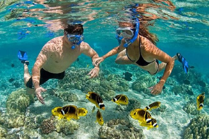 Bali ATV Blue Lagoon Snorkeling Private Guided Tour Free WiFi - Blue Lagoon snorkeling: boat ride, 10-minute training, and feeding fish