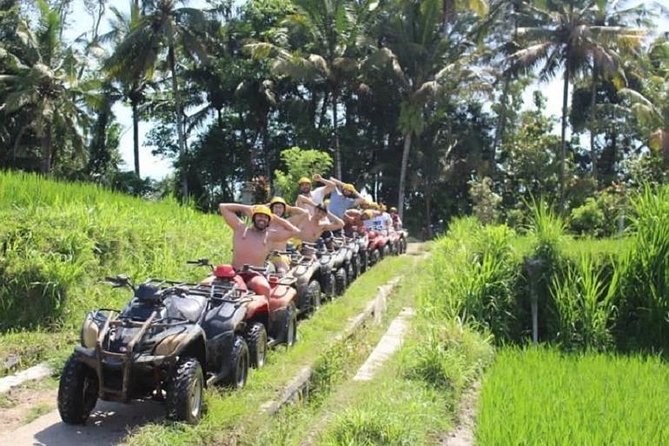 Bali ATV Quad Bike with Monkey Forest and Tegenungan Waterfall - Sangeh Monkey Forest: macaques, temples, and what to expect