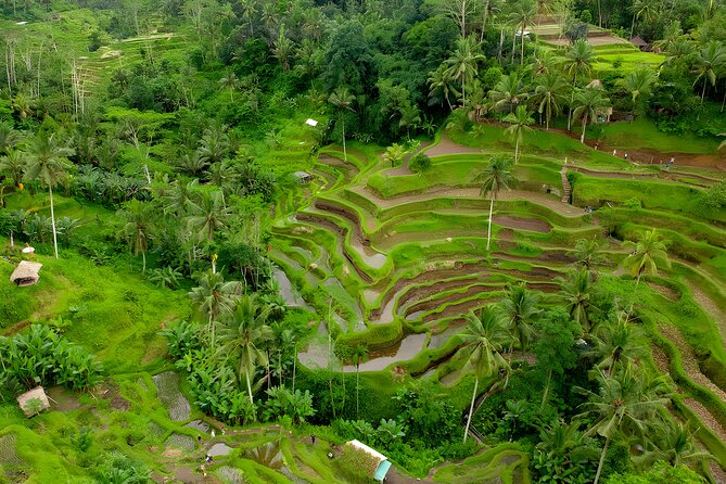 Bali ATV Ride And Ubud Tour Packages : Best Quad Bike Trip - ATV Ride at Bali Pertiwi Adventure: Mud, Tunnels, and Rice-Field Tracks