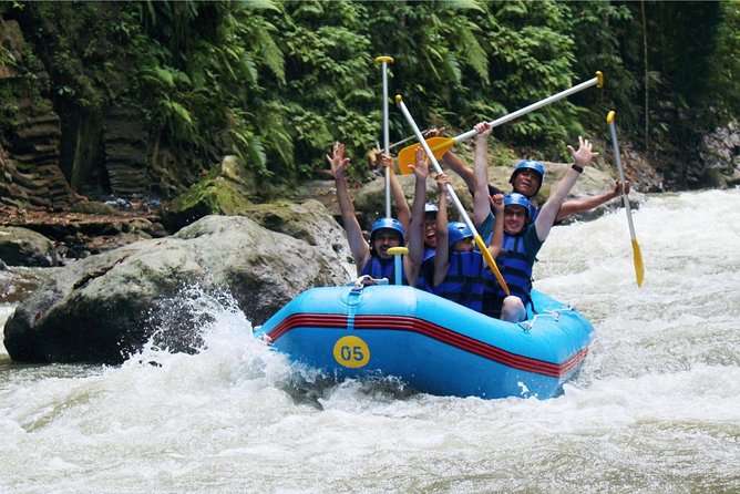 Bali ATV Ride and White Water Rafting - Bali Tarantula ATV ride: solo or tandem, and why the terrain matters
