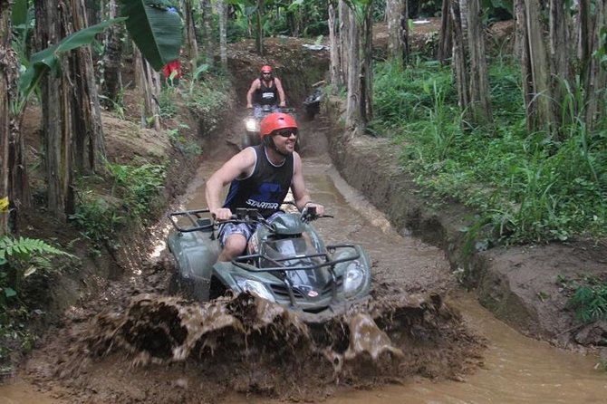 Bali ATV Ride with Jungle Swing and Rice Terrace Tour - Ubud ATV, Jungle Swing, and Tegalalang Rice Terrace in One Smooth Circuit