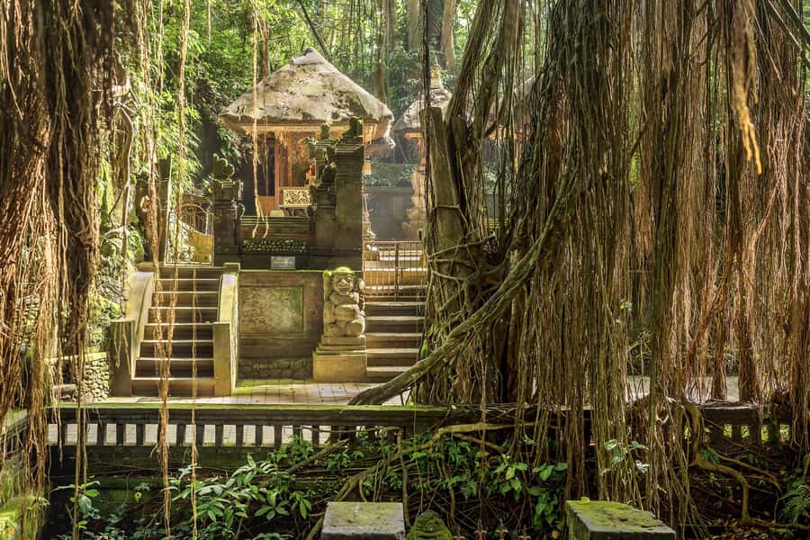 Bali: ATV, Water Rafting, and Monkey Forest Tour - Transportation, timing, and the guide names that matter