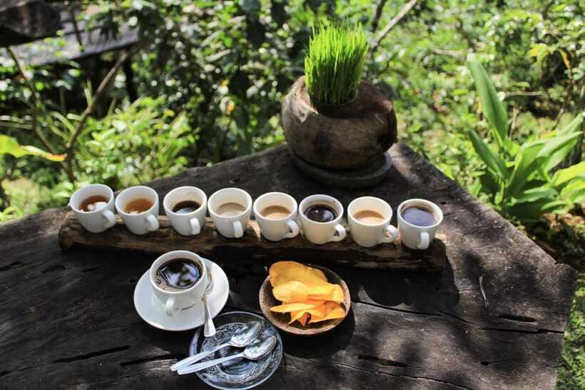 Bali: Authentic Culinary Street Food Experience Tour - Transportation, Timing, and What to Do With a Full 8 Hours