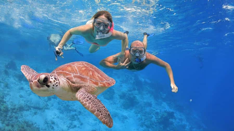 Bali: Basic Snorkeling at Menjangan Island - Two reef spots, chosen from 8, and why that matters