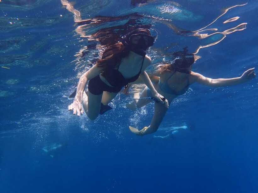 Bali: Basic Snorkeling at Menjangan Island - Boat comfort and how to manage the ride