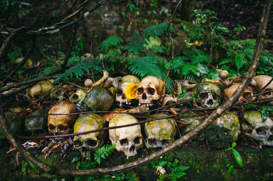 Bali/Batur: Mystical & Burial Rituals Tour with Kehen Temple - Bali’s Mystical Rituals, Ancient Villages, and Kehen Temple