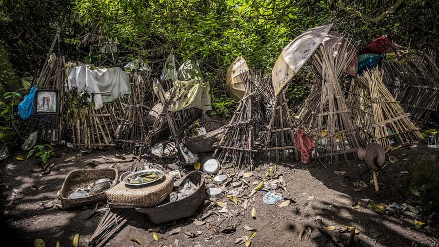 Bali/Batur: Mystical & Burial Rituals Tour with Kehen Temple - Bayung Gede Village: Hanging Placenta Trees and Life After Birth