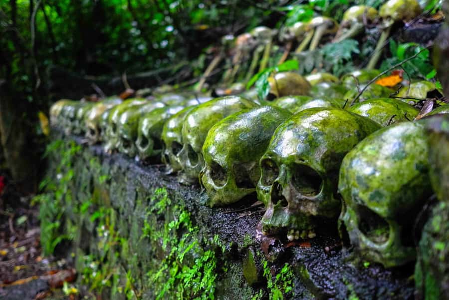 Bali/Batur: Mystical & Burial Rituals Tour with Kehen Temple - Trunyan Village Cemetery: Cleansing Rituals and the Taru Menyan Tree