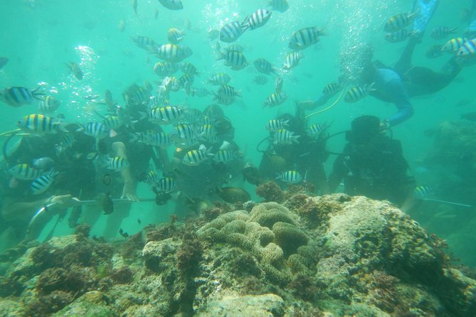 Bali Beaches Hopping - Uluwatu Temple - Geger Beach: a calmer second stop for swimming and shade breaks