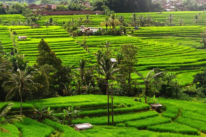 Bali: Bedugul Lake Temple, Banyumala Waterfall, UNESCO Rice Field - Ulun Danu Bratan Temple at Lake Beratan