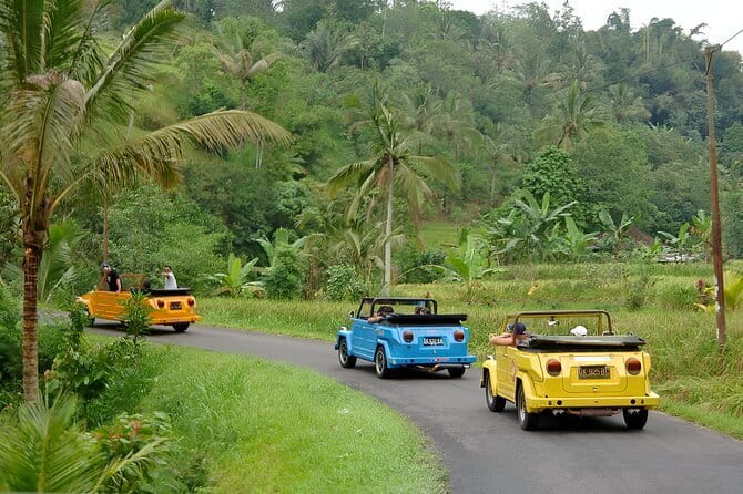 Bali: Bedugul Temple, Banyumala Waterfall, UNESCO Rice Terrace - How Having Santanu (and a Private Driver) Changes the Day