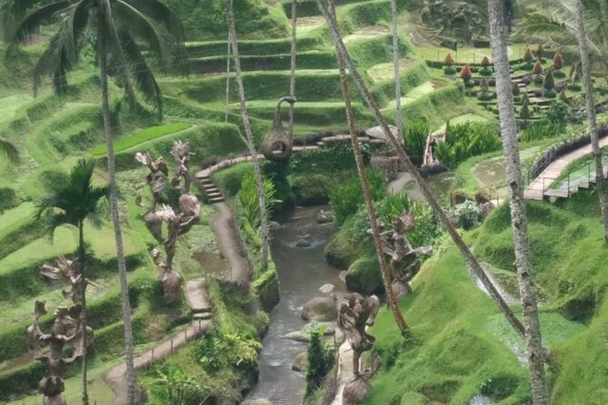 Bali Benoa Shore Excursion for cruise's passenger - All Inclusive - Stop 3, Tegenungan Waterfall: when to go for photos, and how to handle the water