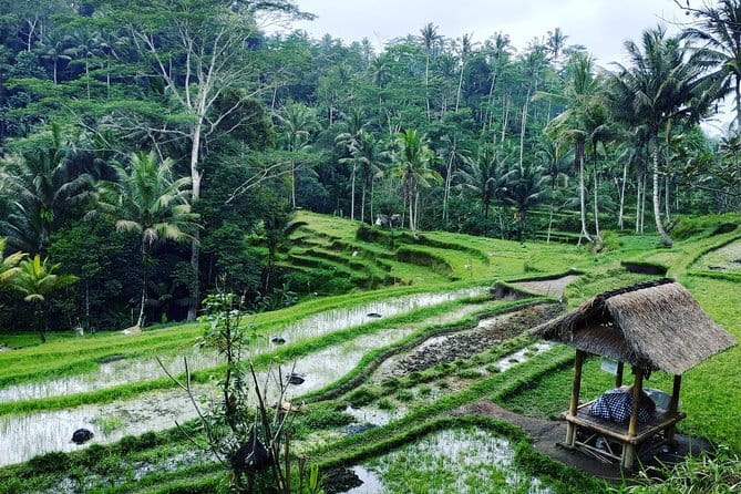 Bali: Best Eastern Waterfalls with Private Bali Tours - Private Transportation And Driver-Guide Service That Feels Real