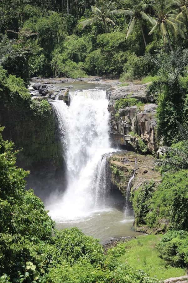 Bali: Best of Ubud Waterfalls Tour - Key things I’d clock before you go