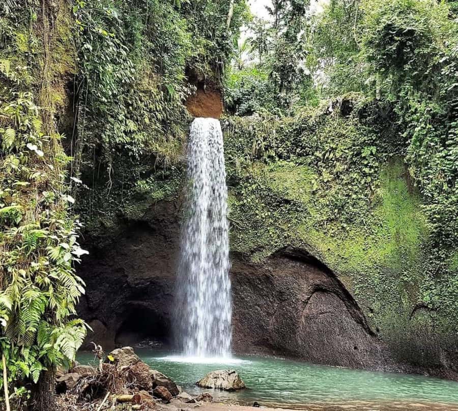 Bali: Best of Ubud Waterfalls Tour - Stop 3: Tibumana Waterfall, a Single-Line Drop by Forested Hills