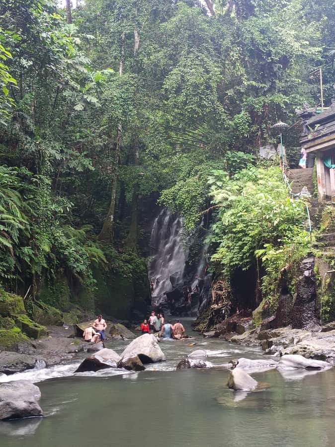 Bali: Best of Ubud Waterfalls Tour - Lunch Time and Rice Paddy Views Near Tibumana