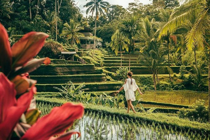 Bali BEST Things to Do Private Full-day Tour from Your Hotel - Hotel pickup, air-conditioned comfort, and real door-to-door convenience