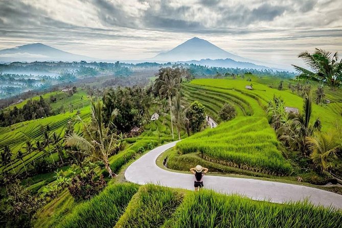 Bali BEST Things to Do Private Full-day Tour from Your Hotel - Tegalalang Rice Terrace: stroll the paddies and watch how it works