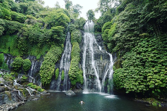 Bali Best Waterfalls Tour : Sekumpul and Banyumala - Price and value: why $69 can be a smart deal for a private day