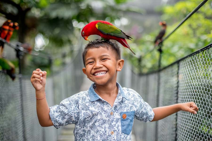 Bali Bird Park 1-Day Admission Ticket - Why Bali Bird Park Feels Like a World Tour in One Day