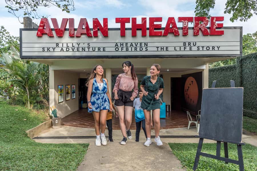 Bali Bird Park 1-Day Admission Ticket - Feeding Time Strategy: How to Catch the Best Moments